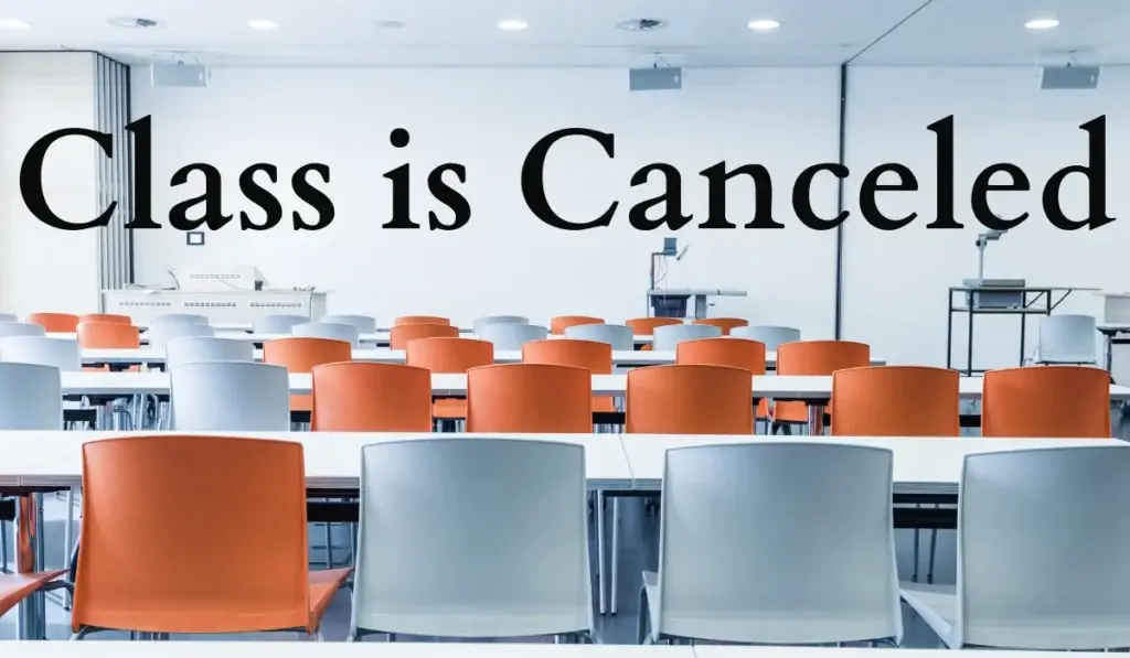 BSN Blog Image