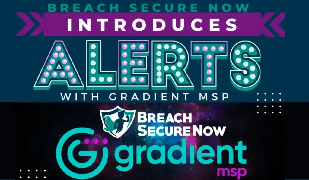 BSN 10.17 Gradient MSP