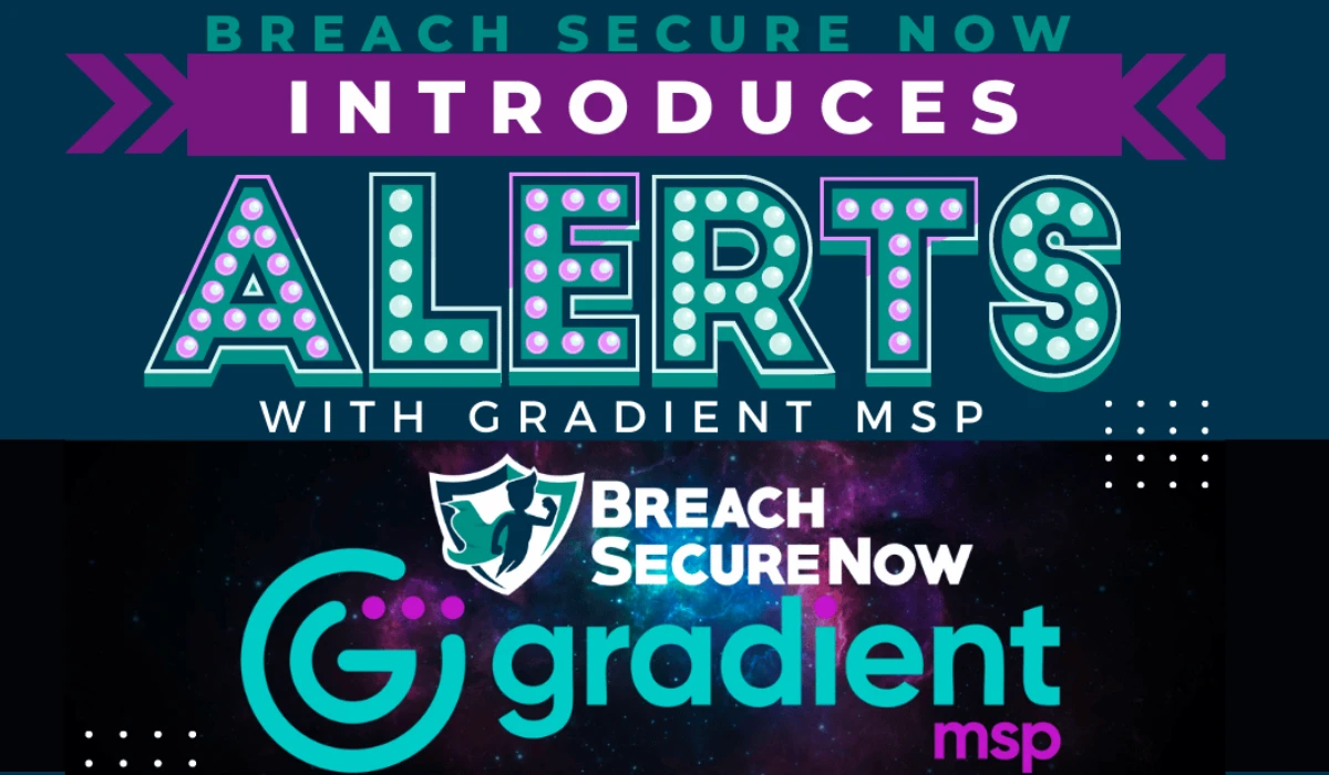 BSN 10.17 Gradient MSP