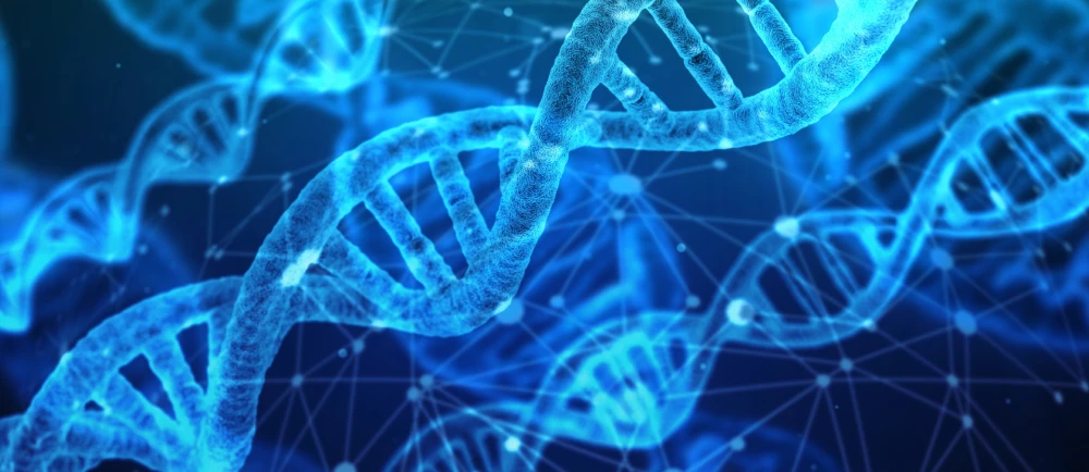 DNA and Cybersecurity optimized